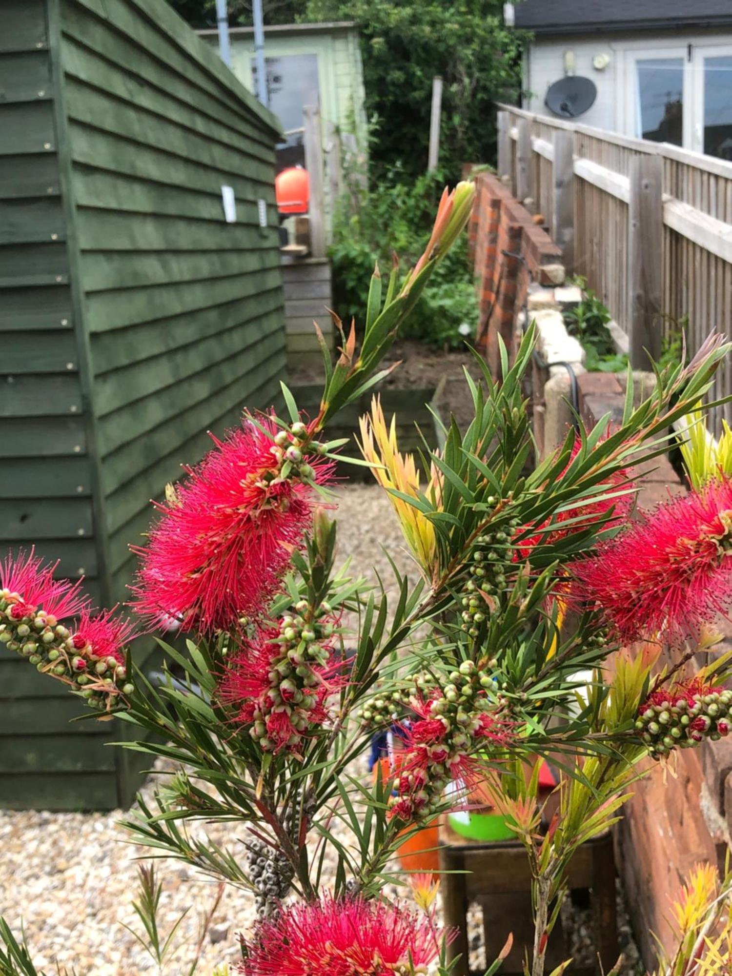 Bridport Garden Suite Esterno foto