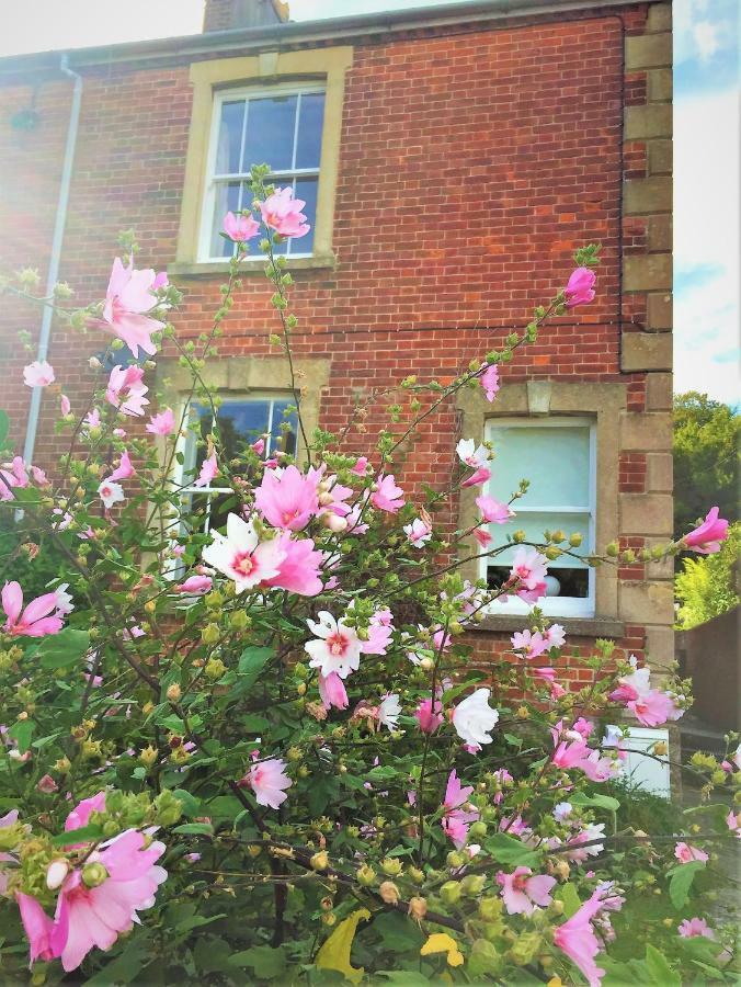 Bridport Garden Suite Esterno foto